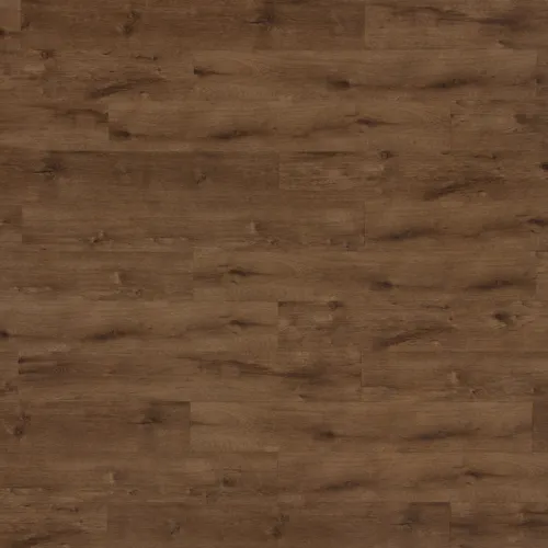 Chestnut